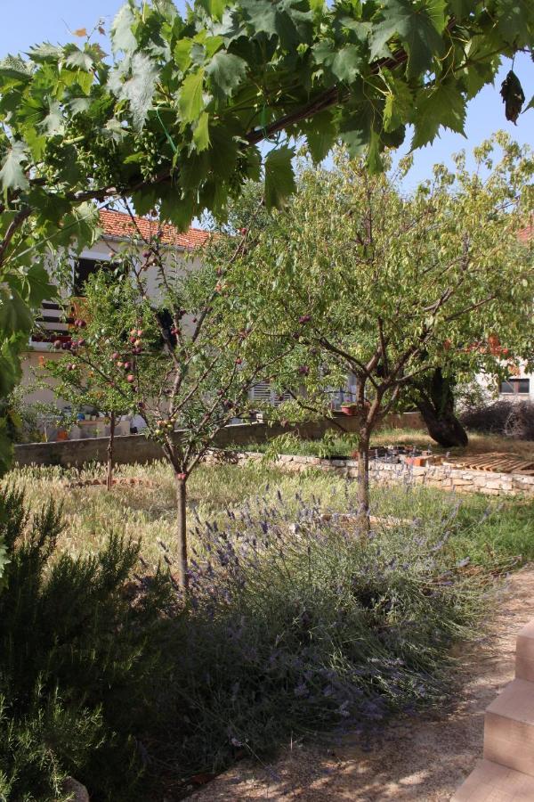 Apartments With A Parking Space Sali, Dugi Otok - 8136 Ngoại thất bức ảnh